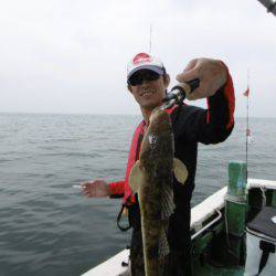 かもめ釣船 釣果