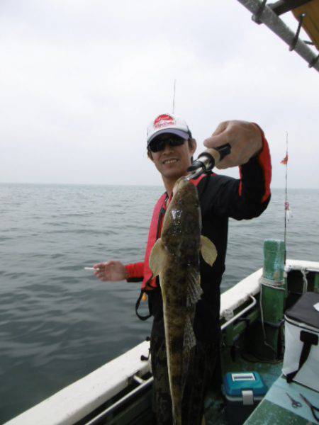 かもめ釣船 釣果