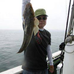 かもめ釣船 釣果