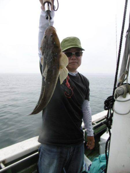 かもめ釣船 釣果