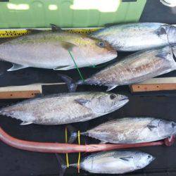 武勝丸（ぶしょうまる） 釣果