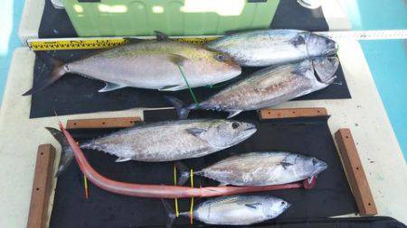 武勝丸（ぶしょうまる） 釣果