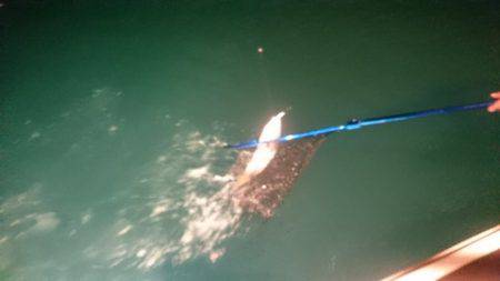 IDATEN(イダテン) 釣果