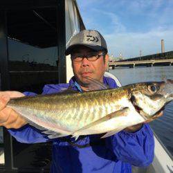 ミタチ丸 釣果