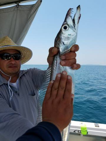 遊漁船　ニライカナイ 釣果