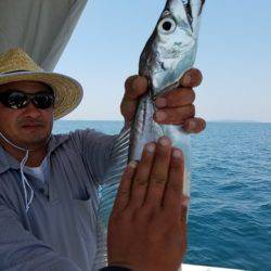 遊漁船 ニライカナイ 釣果