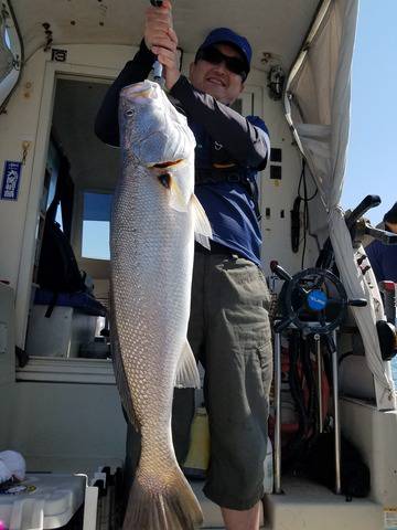 遊漁船 ニライカナイ 釣果