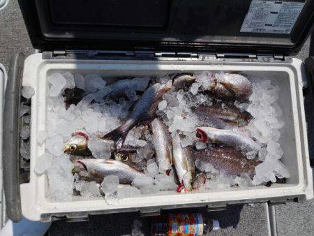 第二大福丸 釣果