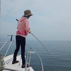 sea boss　シーボス 釣果