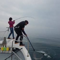 sea boss　シーボス 釣果