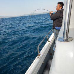 sea boss　シーボス 釣果