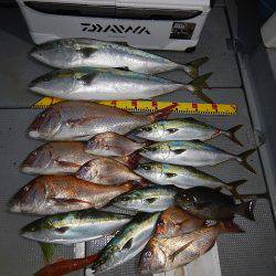 sea boss　シーボス 釣果