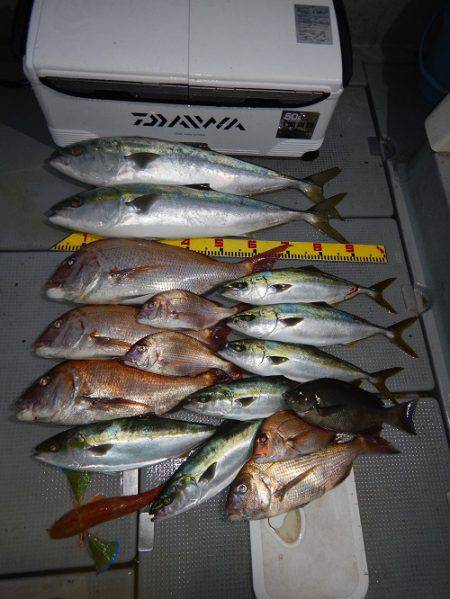 sea boss　シーボス 釣果