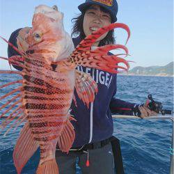 マタウマリンサービス 釣果