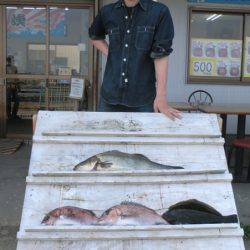 松名瀬フィッシングパーク 釣果