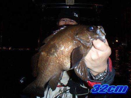オーシャンマスター 釣果