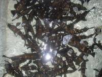 オーシャンマスター 釣果