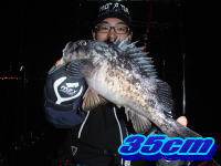 オーシャンマスター 釣果