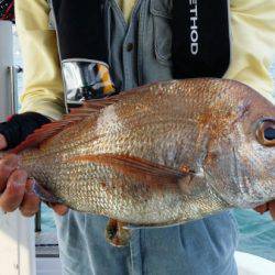 オーフリー 釣果