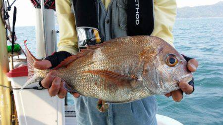 オーフリー 釣果