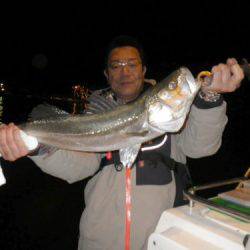 ルアー船マヒマヒ 釣果