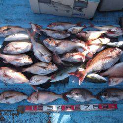 海宝丸 釣果