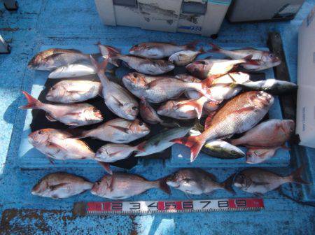 海宝丸 釣果