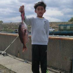 松名瀬フィッシングパーク 釣果