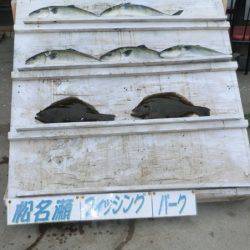 松名瀬フィッシングパーク 釣果