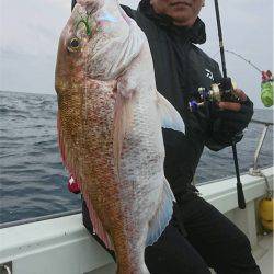 マタウマリンサービス 釣果