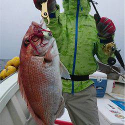 マタウマリンサービス 釣果