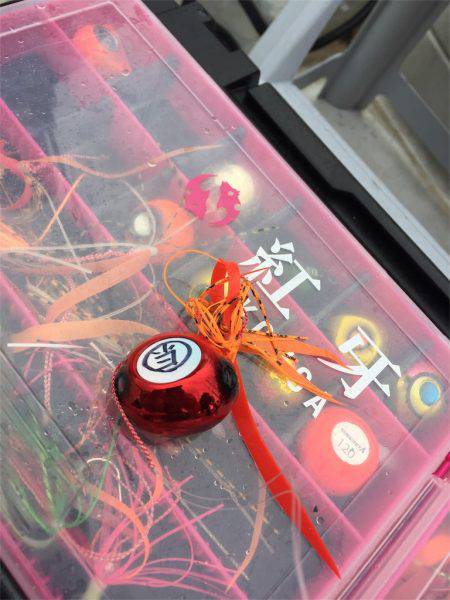 マタウマリンサービス 釣果