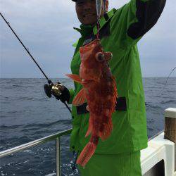 マタウマリンサービス 釣果