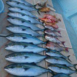 旭星釣りセンター 釣果