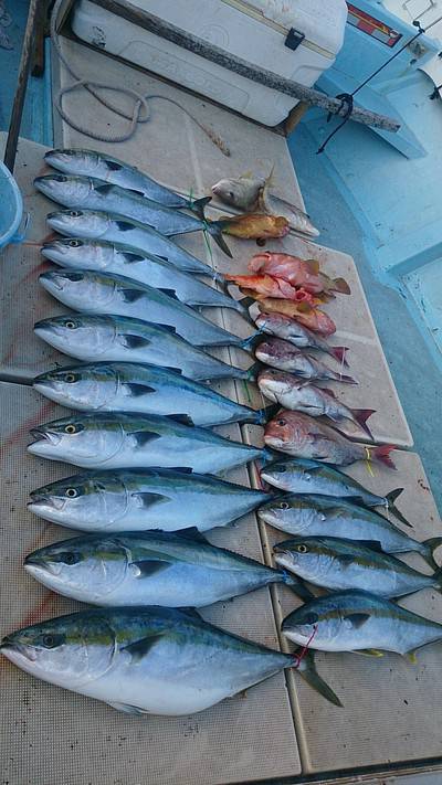 旭星釣りセンター 釣果
