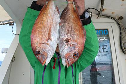 松本釣船２ 釣果