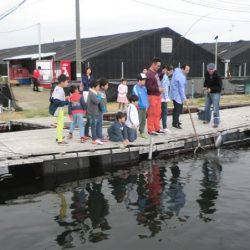 松名瀬フィッシングパーク 釣果