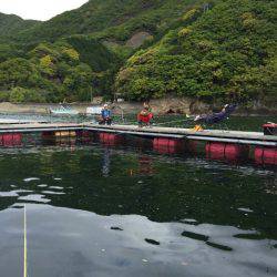 松名瀬フィッシングパーク 釣果