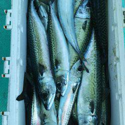 モンロー号 釣果