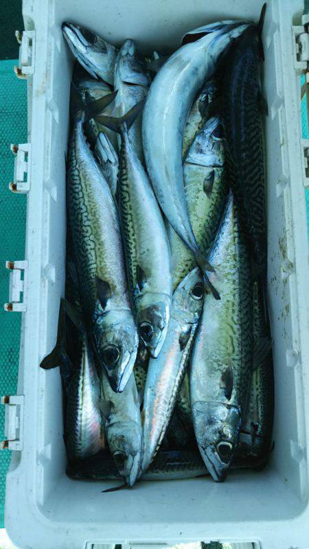 モンロー号 釣果