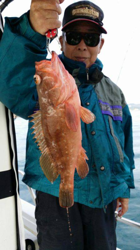 オーフリー 釣果