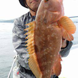 オーフリー 釣果