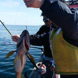 第八平成丸 釣果