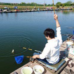吉羽園 釣果