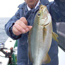 第三むつりょう丸 釣果