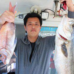 松本釣船２ 釣果