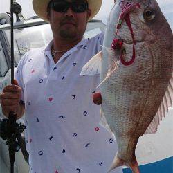 マタウマリンサービス 釣果