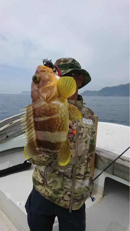 マタウマリンサービス 釣果