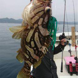 マタウマリンサービス 釣果