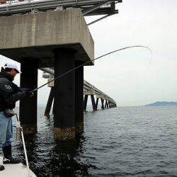 フルコンタクト 釣果